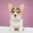 thumbnail image 6 of Tvtnvo Dog Collar Valentine Rose Flower Bow Adjustable Soft Cotton Pet Collar Long Lasting Metal Hardware Quick Release Removable Suit Holiday Accessory for Dogs Orange 9.6-13.7in, 6 of 7