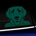 thumbnail image 1 of Peeking Labrador Retriever - Vinyl Car Decal - Choose Color - [DARK GREEN], 1 of 1