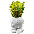 thumbnail image 1 of Plantador Planta Suculenta Sembradora Maceta Creativa para Plantas Interiores Y Exteriores, 1 of 9