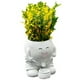 thumbnail image 5 of Planta de maceta Subserta para la cabeza creativa para plantas interiores y exteriores, 5 of 5