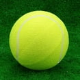 thumbnail image 5 of Tomshoo ball,9.5" Oversize Tennis Children Tennis Ball Wanqian Baoe Zdhf, 5 of 6