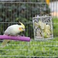 thumbnail image 2 of Behogar Funny Transparent Acrylic Bird Parrot Hanging Foraging Feeder Feeding Box Educational Toy for Budgies Parakeet Cockatoo, 2 of 5