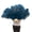 Deep blue, variant on Extra Large Ostrich Feather Fans 13 Bone Handheld Plumes Fan For Wedding Party Stage Performance