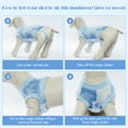thumbnail image 5 of ZARYIEEO Recovery Suit for Dogs and Cats After Surgery, Professional Pet Recovery Shirt Dog Abdominal Wounds Bandages, Prevent Licking Dog Onesies Pet Surgery Recovery Suit, 5 of 8