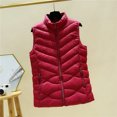 thumbnail image 3 of Women Autumn Winter Ultra Light Duck Down Vest Slim Sleeveless Zip up Jacket Warm Puffer Waistcoat, 3 of 5