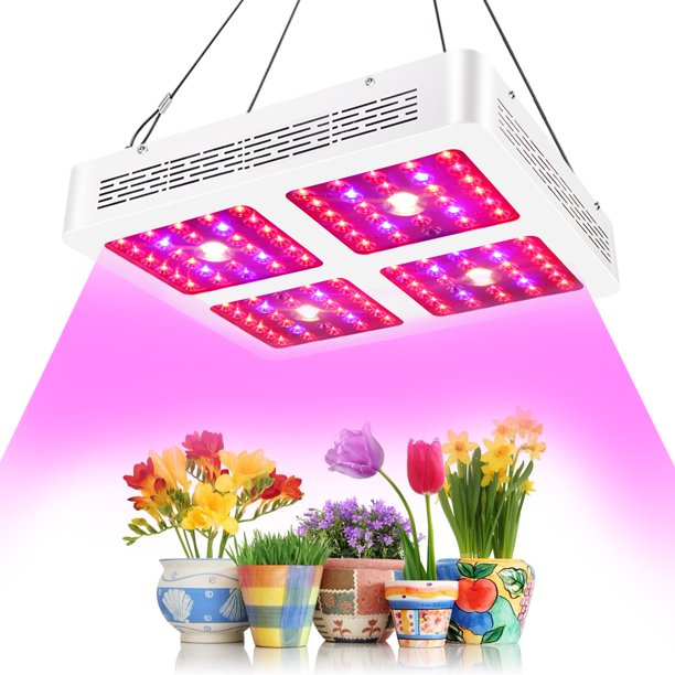Growstar 1200W Reflector Series Cree COB LED Grow Light, LED Plant