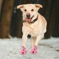 thumbnail image 1 of Raindrops 4Ud Sandalias Para Mascotas De Malla Ventilada Con Suela Flexible Color Rosa, 1 of 6