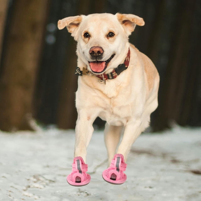 Raindrops 4Ud Sandalias Para Mascotas De Malla Ventilada Con Suela Flexible Color Rosa
