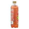 Splash Fizz, Blood Orange Flavor Sparkling Water Beverage, 20 Fl Oz