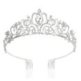 thumbnail image 1 of Araluky Tiara de Cristal Corona Diadema Princesa Elegante Tiara con Peines para Mujeres Jóvenes Damas Nupcial Boda Fiesta de Cumpleaños Fiesta Plata, 1 of 5