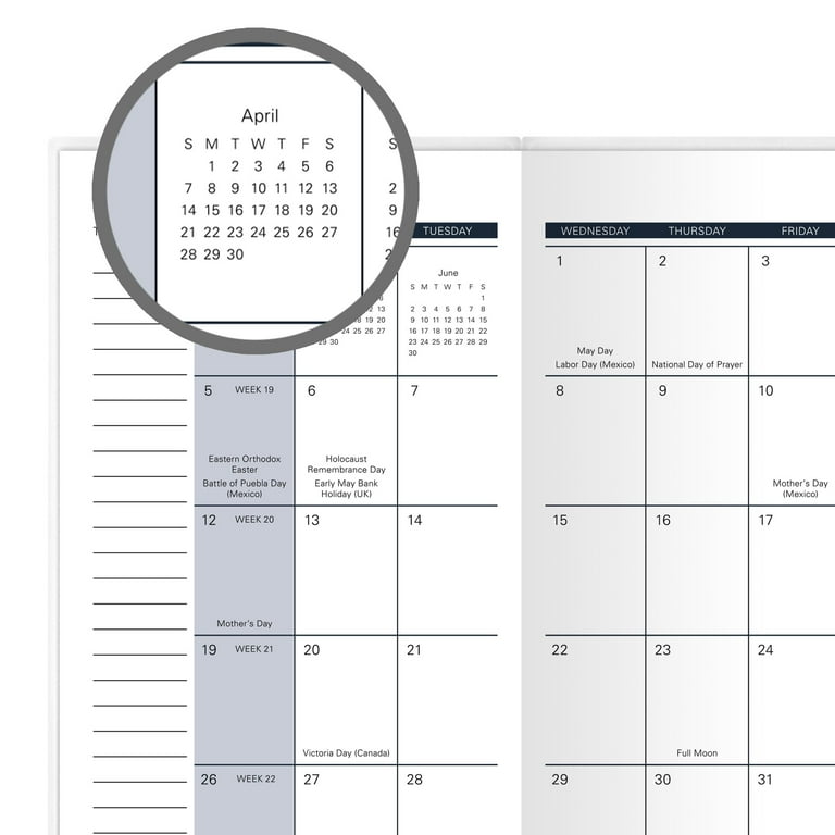 Tropical 2024-2025 Two Year Monthly Pocket Planner Design Chosen For You -  - Walmart.com