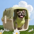 thumbnail image 6 of Oodles 24" Plastic Travel Pet Kennel with Clip On Bowl, Green, 6 of 11