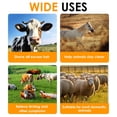 thumbnail image 5 of 4 Pcs Extra Large Scratching Brushes, Flexible Grooming Kit for Cow, Horse, Sheep for Farm Use (Black), 5 of 9