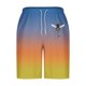 thumbnail image 5 of Pantalones Cortos Casuales para Hombre Imprimir con Bolsillos Pantalones de Playa de Cintura Elástica, Pantalones Cortos de Cintura Elástica para Hombre, 5 of 5