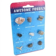 Copernicus Toys -Awesome Fossils