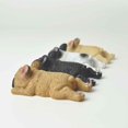 thumbnail image 3 of Injueey Dormir Perro Nevera Pegatina Bulldog Francés Mini Toy Imán Decor Novel Decoración del hogar Negro Escribe un Injueey JJ9742-01, 3 of 6