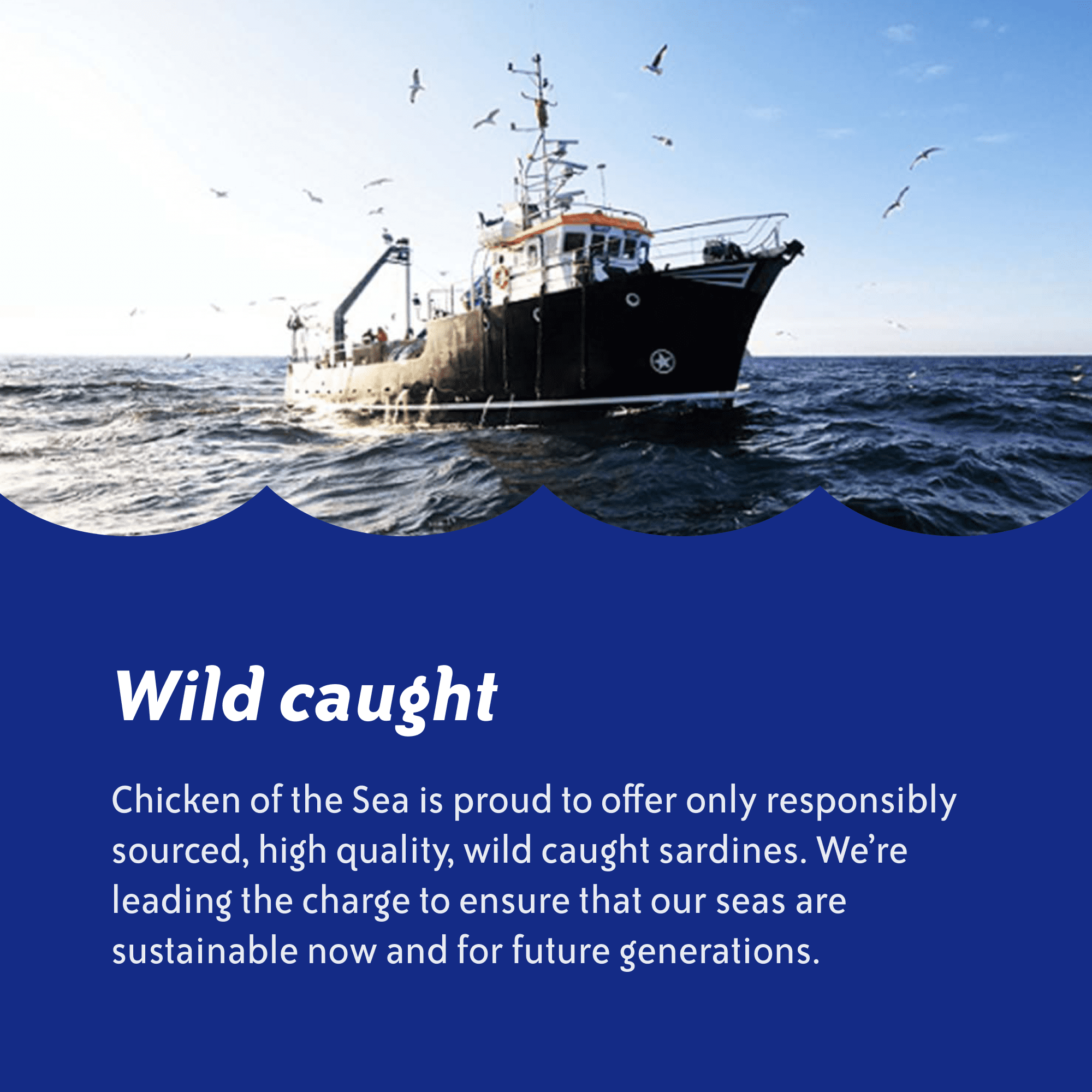 Chicken of the Sea Wild Caught Sardines in Olive Oil 3.75 oz