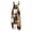 Black, variant on Womens Halloween Overalls Skeleton Skull Sleeveless Backless Spooky Overalls Bat Castle Halter Funny Jumpsuits, 4XL