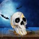 thumbnail image 5 of Estatua de calavera humana, esqueleto de la muerte, hueso de la cabeza, figurita de resina para Halloween 14.5x12.5x17.5 Blanco, 5 of 9
