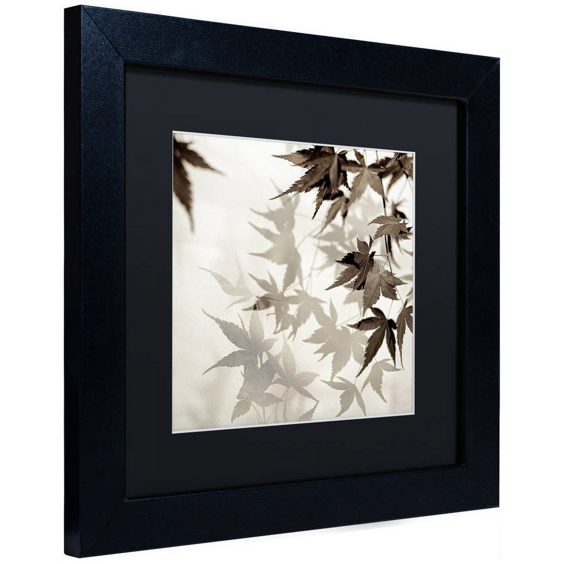 Trademark Fine Art "Florison 57" Canvas Art by Alan Blaustein, Black Matte, Black Frame