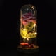thumbnail image 1 of Rosa del Principito, Flor de Rosa eterna preservada con Cadena LED en cúpula de Vidrio.Buen Regalo para Novia, día de San Valentín, día de Las Madres (Rojo)(Rosado) Ecomeon no, 1 of 6