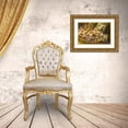 thumbnail image 3 of Young, Bill 18x13 Gold Ornate Wood Framed with Double Matting Museum Art Print Titled - Italy, Venice Bow tie pasta in bowl in store, 3 of 4