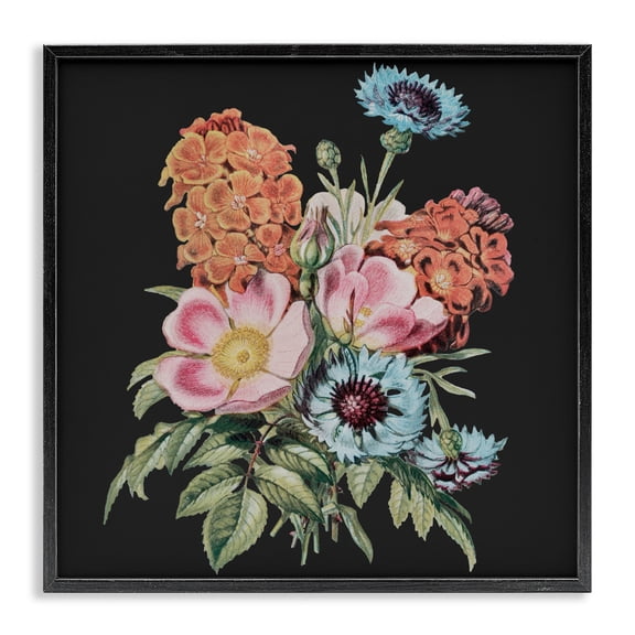 Stupell Industries Vintage Bouquet Study over Black Black Framed Giclee Art, design by Dan Meneely