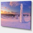 thumbnail image 2 of Frozen Trees on Mountain Panorama, 2 of 3