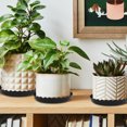 thumbnail image 7 of ZGDong Plant Saucer 12Pcs Set - 6/8/10 Inch Black Plastic Plant Trays, Drip Trays for Potted Plants Indoor Outdoor, Water Catcher Saucers for Flower Pot Drainage, 7 of 7