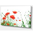 thumbnail image 2 of Fleurs de Coquelicot sur Fond Blanc - Impression sur Toile Florale, 2 of 3