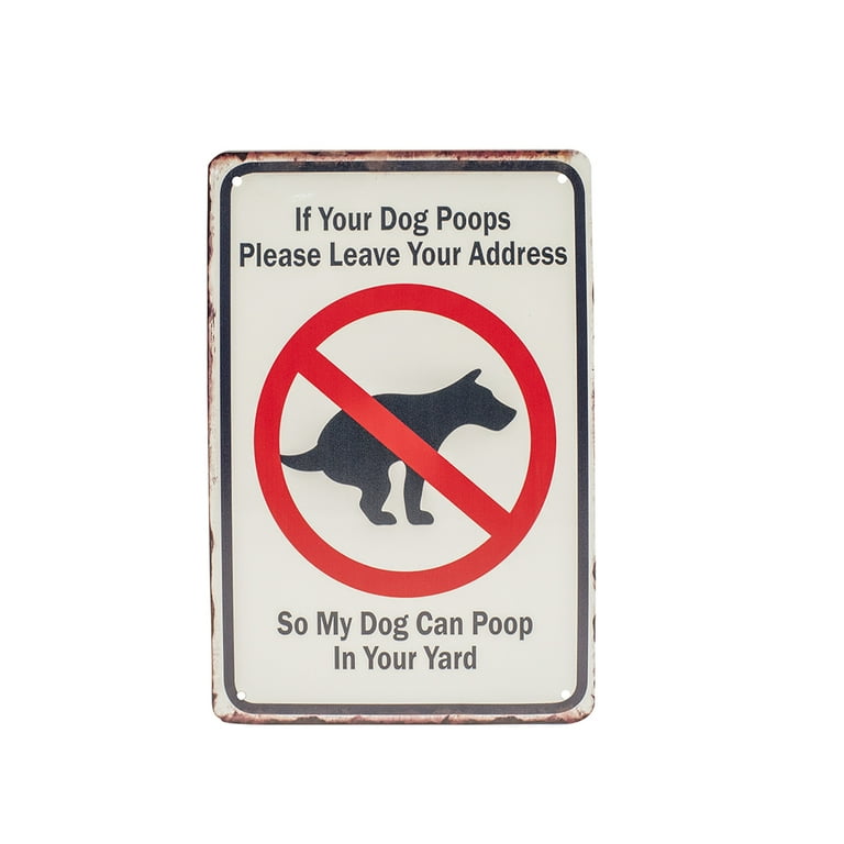 What Do I Do If My Dog Poops In The House