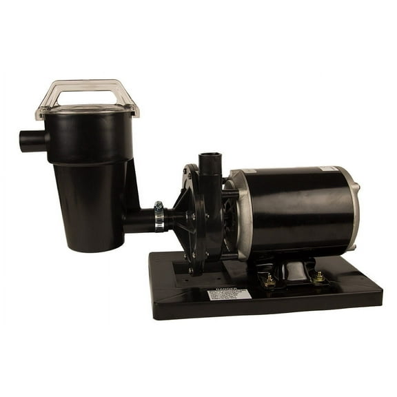 Rx Clear 1/2 HP Niagara Above Ground Swimming Pool Pump