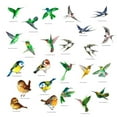 thumbnail image 3 of 1, 3 of 7