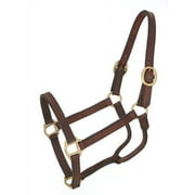 Royal King Leather Track Halter Pony