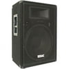 Seismic Audio Premium FL-15P 2-way Indoor Speaker, 400 W RMS