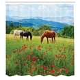 thumbnail image 3 of Ambesonne Horse Shower Curtain, Landscape Rural Scene, 69"Wx70"L, Multicolor, 3 of 5