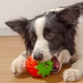 thumbnail image 3 of Treat Dispensing Dog Toys, Natural Rubber Teeth Cleaning Dog Feeder Chew Toy for Large and Medium Dogs- Insert Food or Treats Inside, 3 of 5
