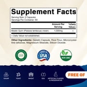 3 Pack - Vitamatic Mastic Gum 1000mg per Serving 120 Capsules