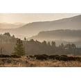 thumbnail image 2 of The Yellowstone Collection 18x13 Black Ornate Wood Framed with Double Matting Museum Art Print Titled - Bison herd, Lamar Valley, Yellowstone National Park, 2 of 4