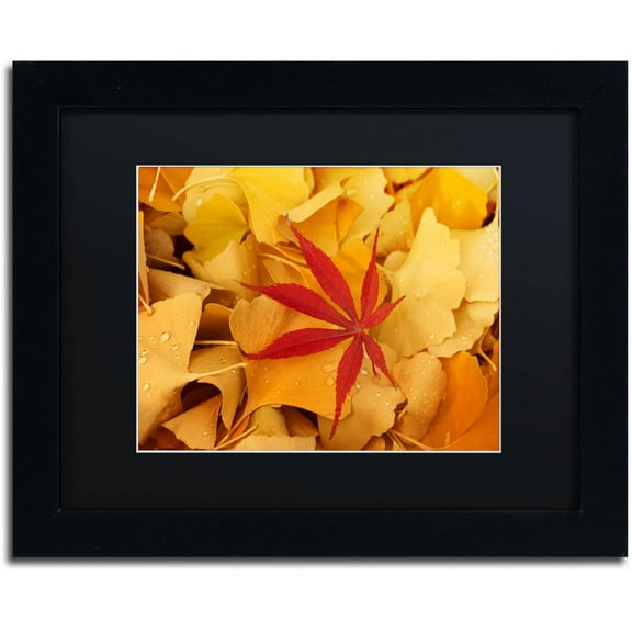 Trademark Fine Art "Red Star" Canvas Art by Philippe Sainte-Laudy Black Matte, Black Frame