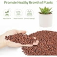 2.5lbs Lava Rocks for Plants, 1/5 Inch Red Gravel for Succulent, Cactus