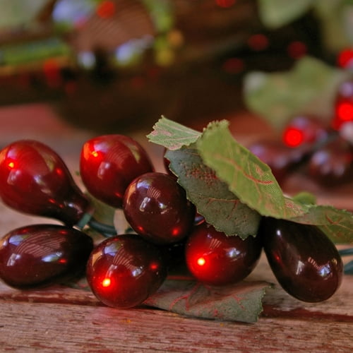 See All String Lights Grape Vine String Lights 50 Warm White Bulbs 10 Grape Clusters Plug in Burgundy