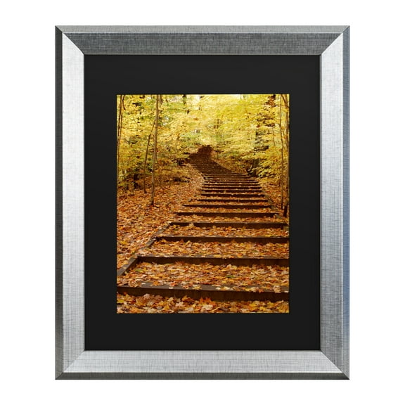 Trademark Fine Art 'Fall Stairway' Canvas Art by Kurt Shaffer
