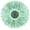 Mint, variant on JWH Fresh Mint Green Velvet Flower Pillow Premium Round Velvet Decorative Pillow 14inch Round Accent Cushion