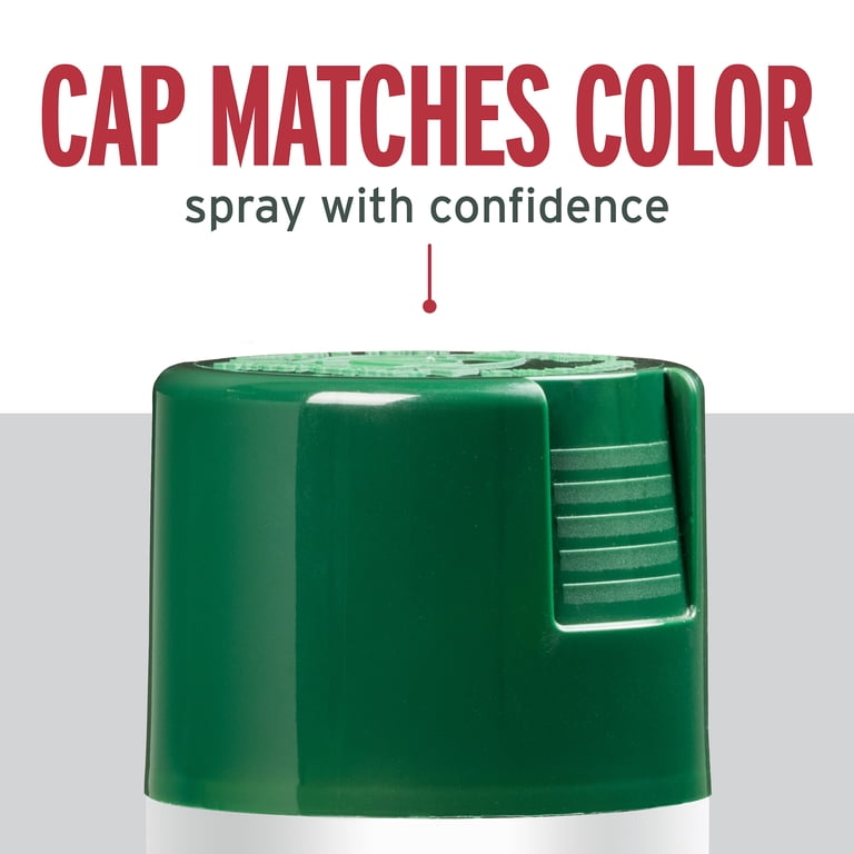Rust-Oleum Stops Rust Gloss Protective Enamel Spray Paint, Hunter