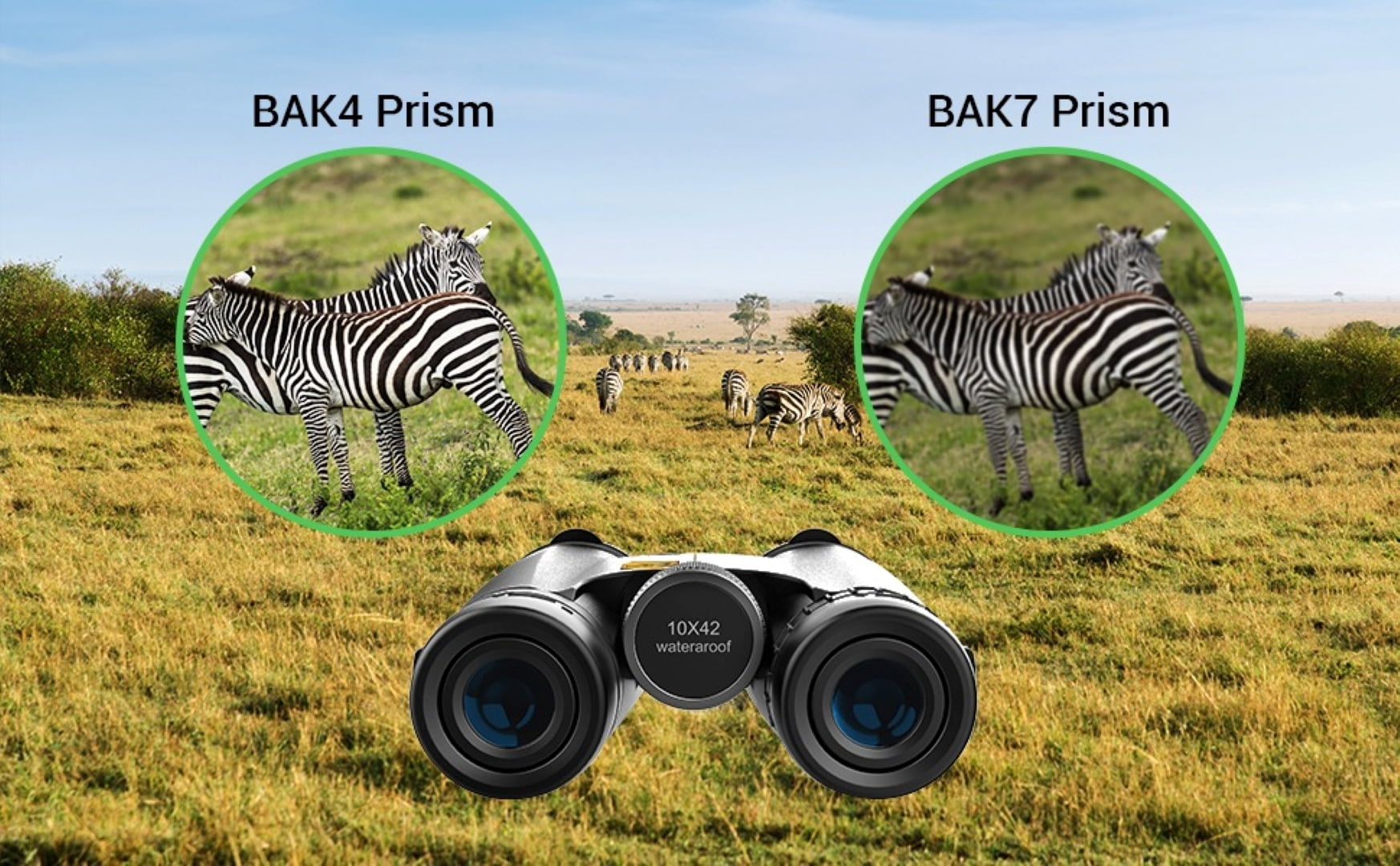 Birds of Prey Optics 10x42 Binoculars for Adults High Powered - Binoculars for Bird Watching, Hunting Binoculars with Carrying Bag and Strap - Camping Gear, Hiking Gear and Travel Essentials