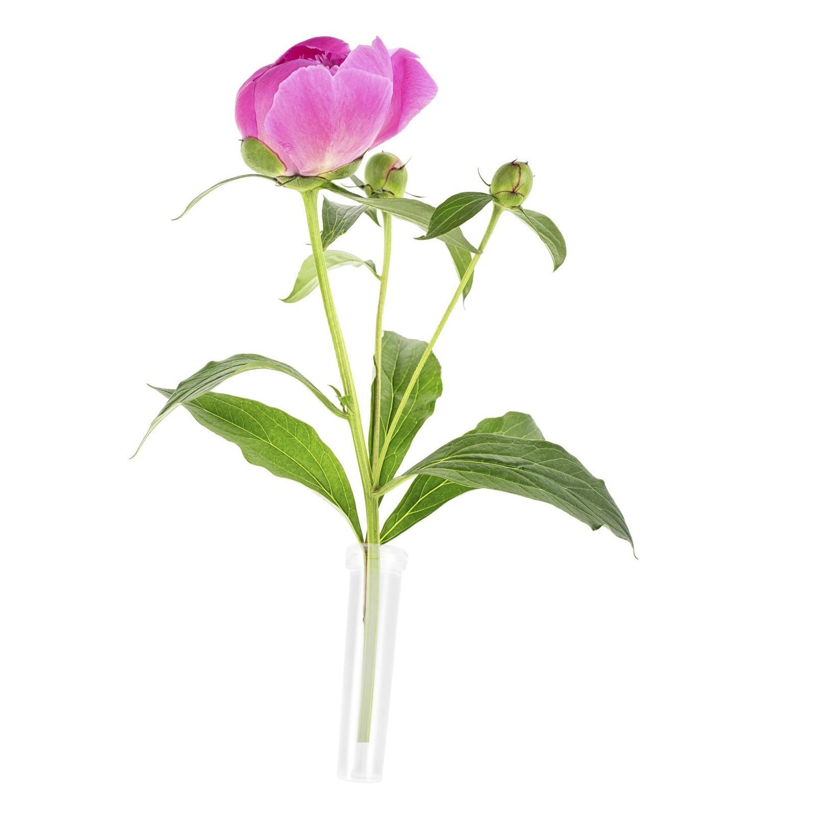 HEMOTON Floral Water Tubes for Flower Arrangements, Assorted Color Plastic Tubes to Keep Flowers Hydrated and