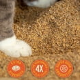 thumbnail image 3 of Catalyst Pet Multi-Cat Formula Cat Litter, 9.07-kg bag, 3 of 5