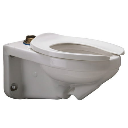 UPC 670240405783 product image for Zurn Wall Mounted Dual Flush Elongated Toilet Bowl | upcitemdb.com