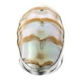 thumbnail image 2 of Ridged Nautilus Shell 925 Sterling Silver Ring, 1 1/2", 2 of 4
